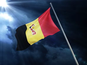 电竞赛场焦点！克罗地亚队对阵澳大利亚队，强强对话引爆全球球迷关注